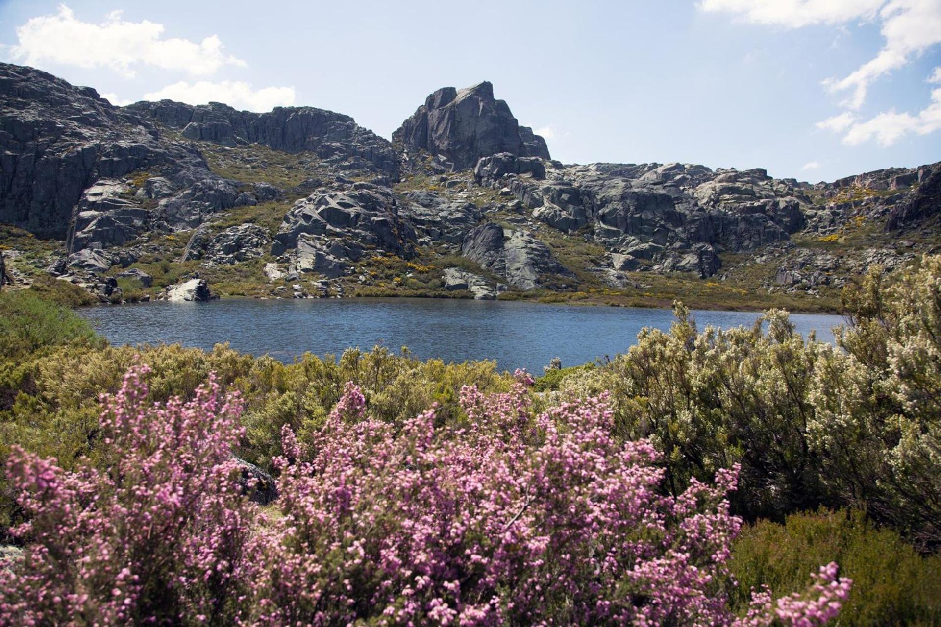 Mountain Lodge T3 Duplex Abrigo Do Lobo Covilhã Εξωτερικό φωτογραφία