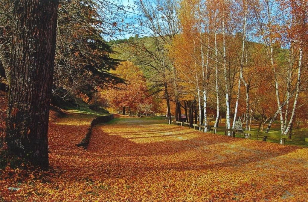 Mountain Lodge T3 Duplex Abrigo Do Lobo Covilhã Εξωτερικό φωτογραφία