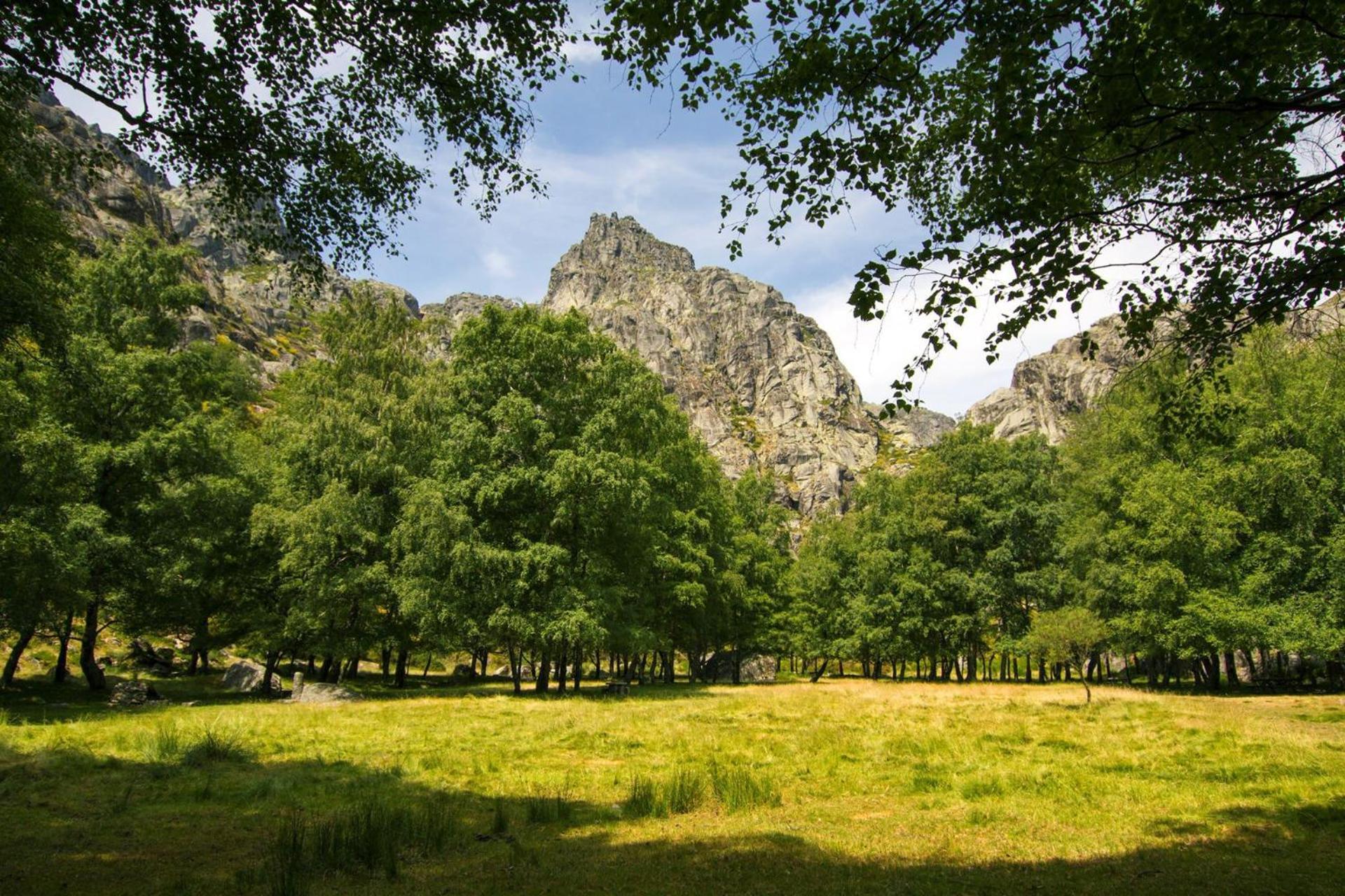 Mountain Lodge T3 Duplex Abrigo Do Lobo Covilhã Εξωτερικό φωτογραφία